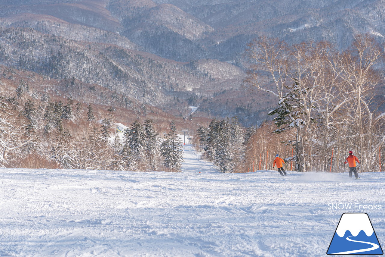 札幌国際スキー場｜積雪100cm超え！名物の急斜面『ダウンヒルコース』を含む、全てのコースが気持ち良～く滑走可能です(^^)/